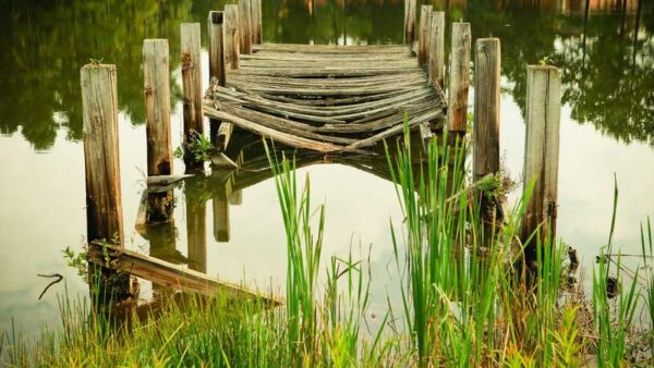 Город будущего: кто строит завтра